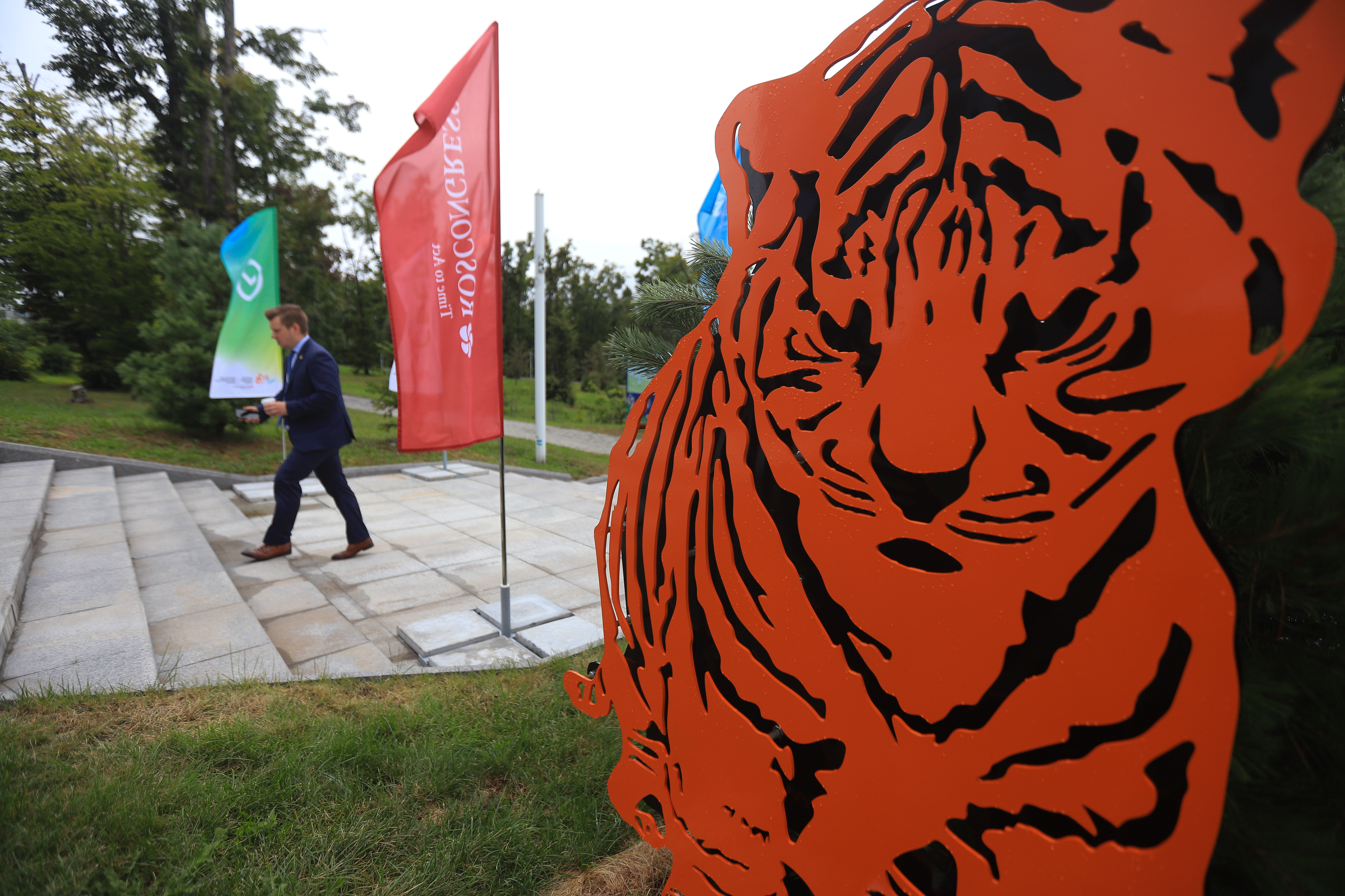 Сохранение тигров. День тигра. Самые большие тигры. Дальневосточный тигр. Международный день тигра мероприятие.